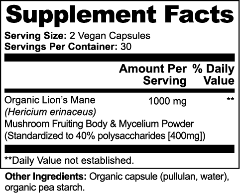 FOCUS - Cognitive Support