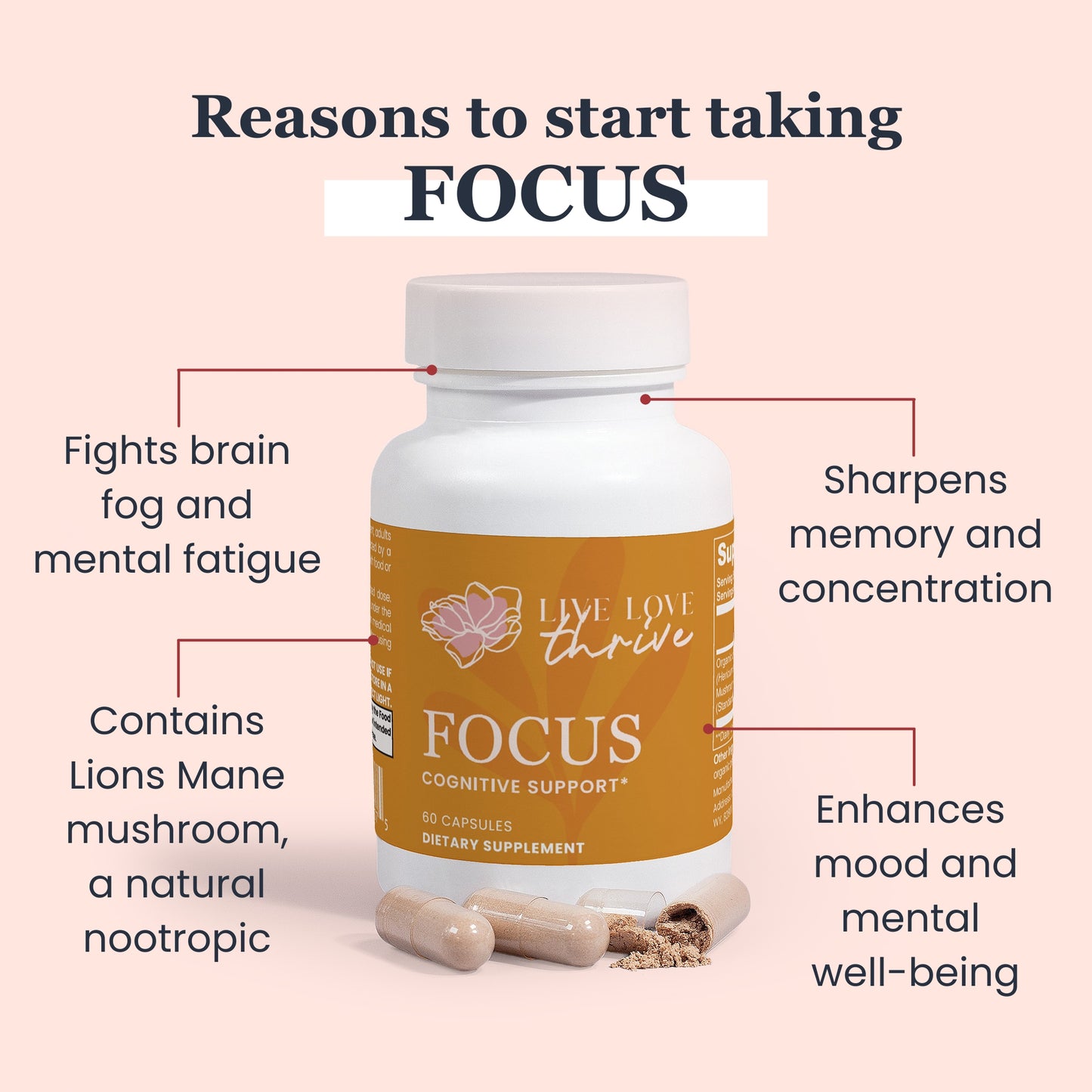 FOCUS - Cognitive Support