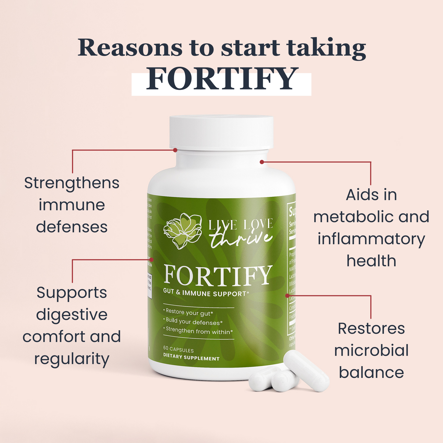 FORTIFY - Gut & Immune Support