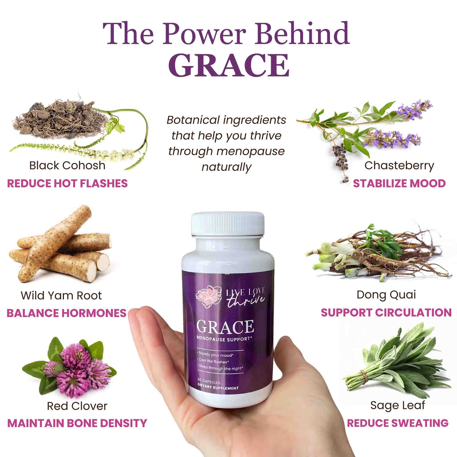 GRACE - Menopause Support