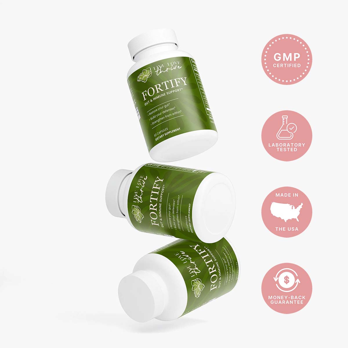 FORTIFY - Gut & Immune Support